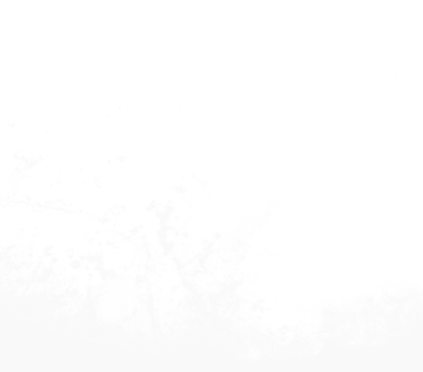 wave